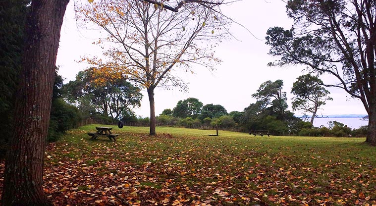 Awhitu Peninsula campground - View of the campground.